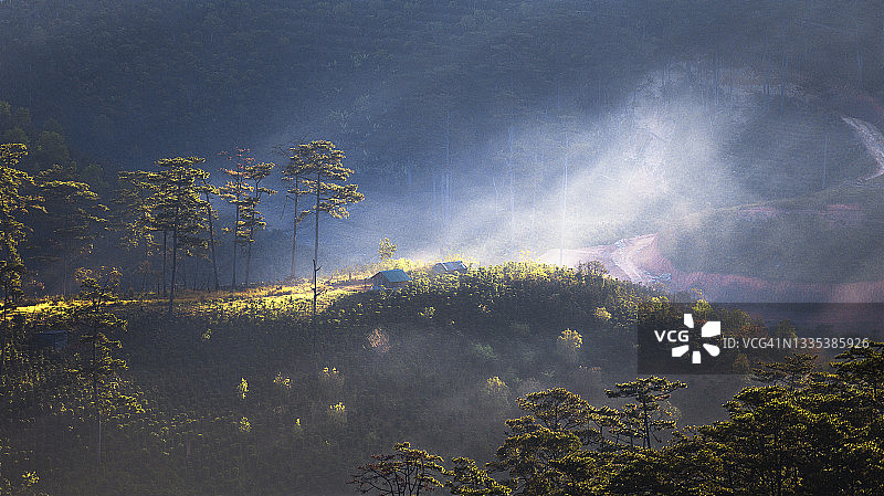 阳光照耀着房屋图片素材