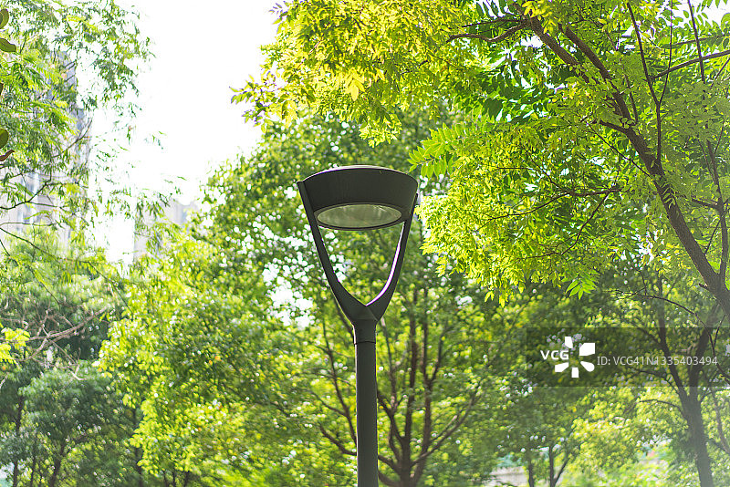 树林中的路灯图片素材