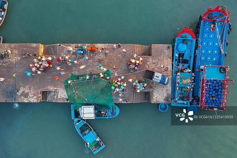 在码头上收集鱼图片素材