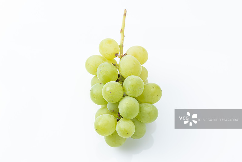 葡萄图片素材