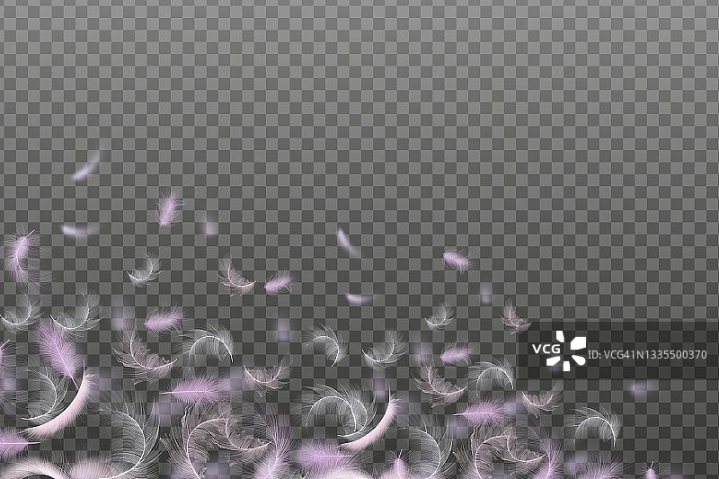 各种形状的白色和粉色鹅毛或鸡毛矢量素材，生态羽毛填充物，适用于枕头、毯子或夹克图片素材