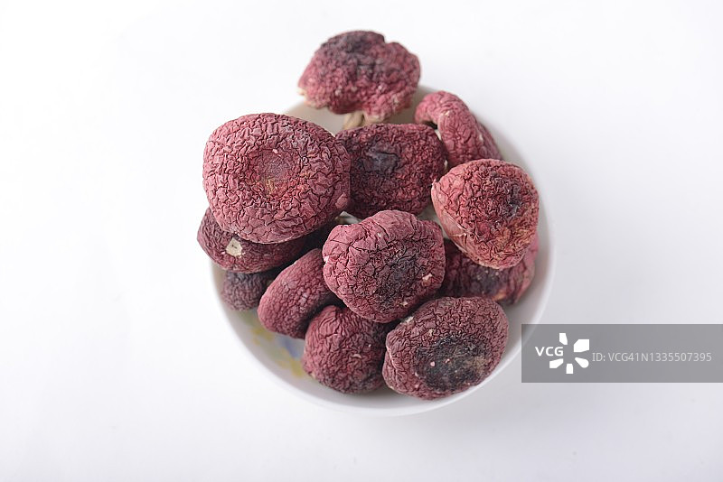干红菇图片素材