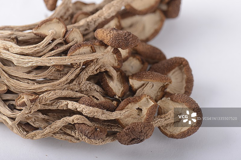 茶树菇干图片素材