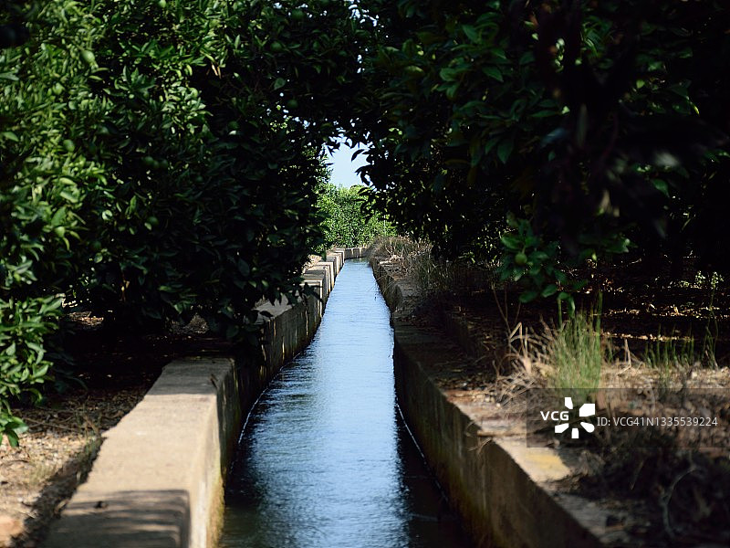 柑橘园灌溉渠图片素材