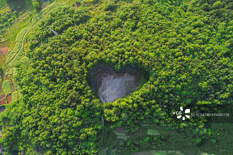 森林中爱心形洞穴的航拍图片素材