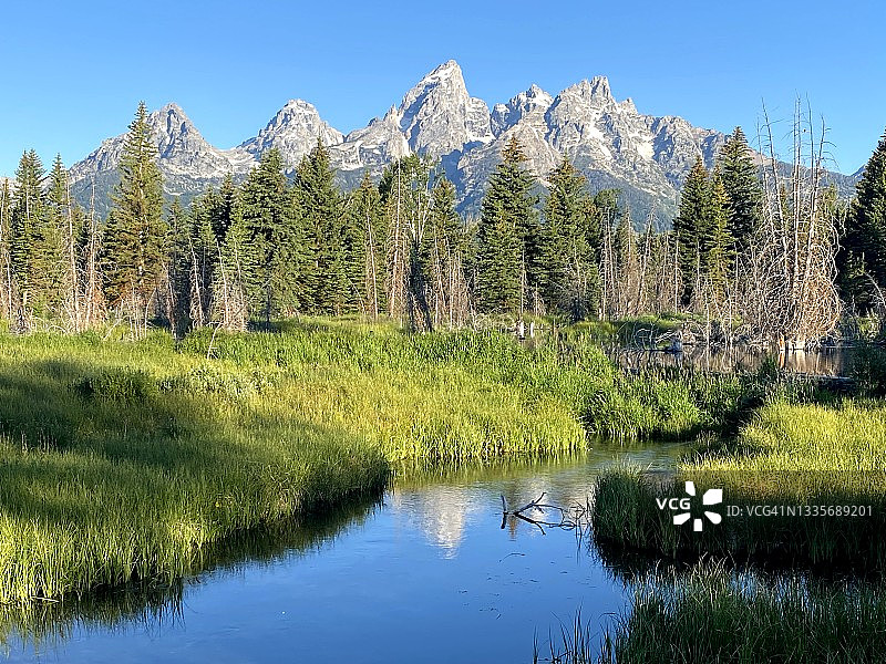 水中的倒影图片素材