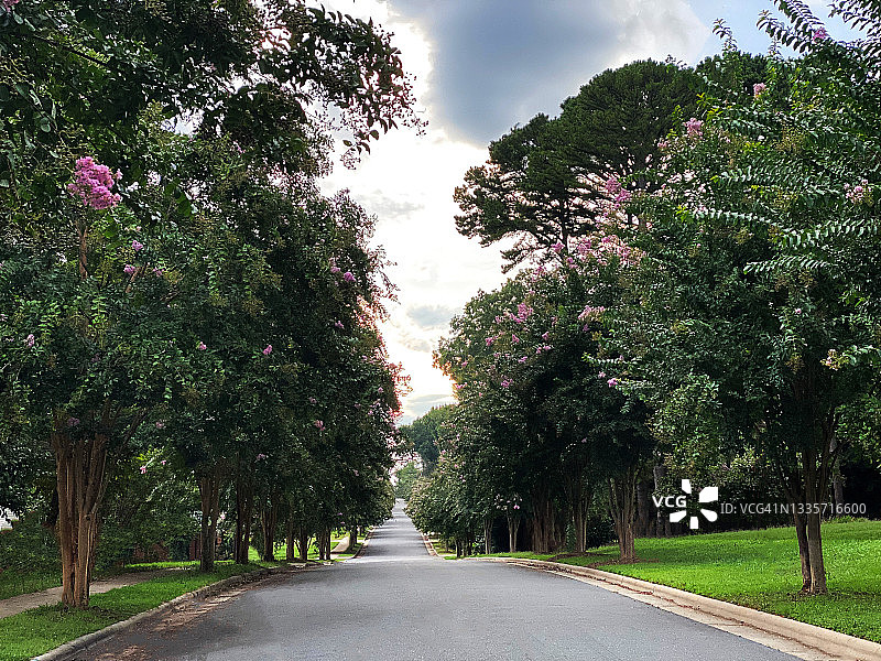 南部社区绿树成荫的住宅街道图片素材