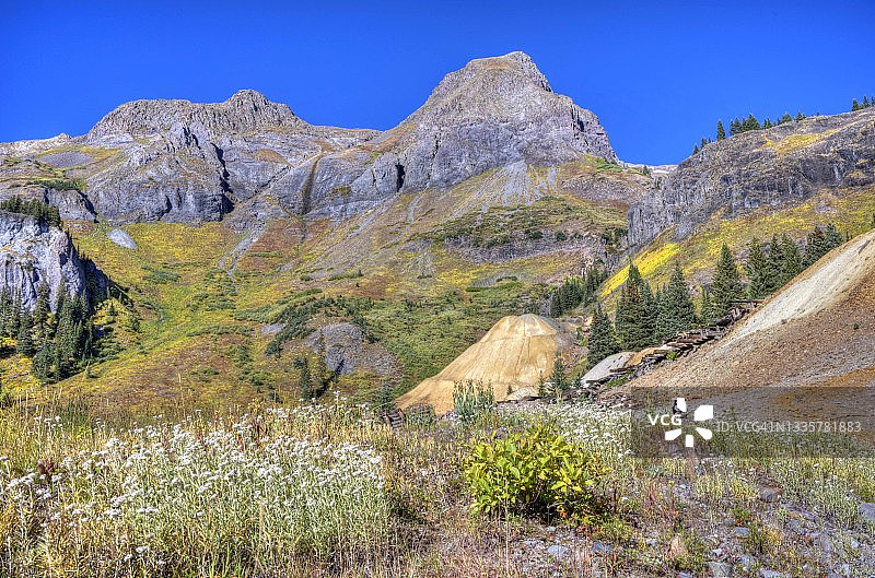 小狗、野花、矿山和秋季山景图片素材