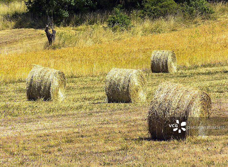 圣斯特凡诺迪塞萨尼奥图片素材