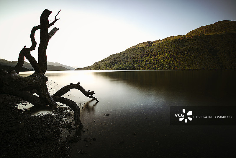 罗蒙湖岸边的Firkin Point图片素材