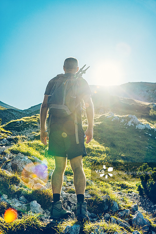 快乐的登山者在夏日清晨徒步旅行图片素材