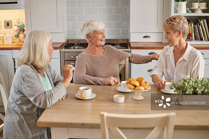 老年女性群体在家中围坐交流享用茶点图片素材