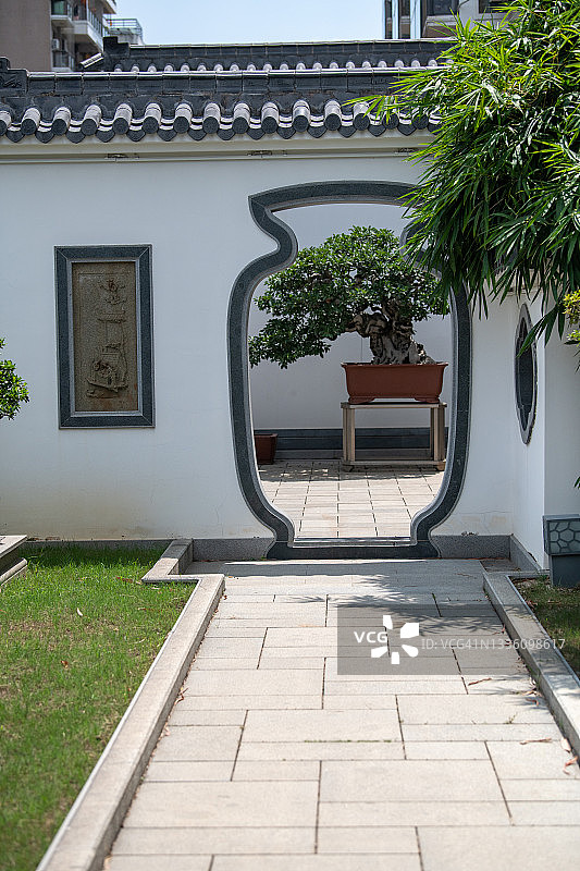 苏州园林中的盆景图片素材