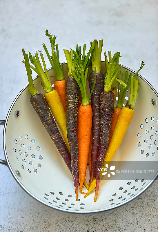彩色小胡萝卜沥水架俯视图图片素材