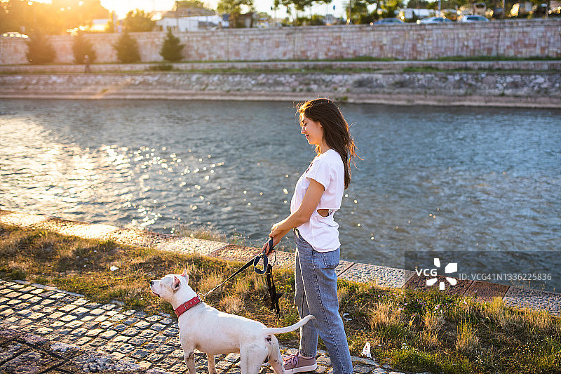 与爱犬的河边漫步图片素材