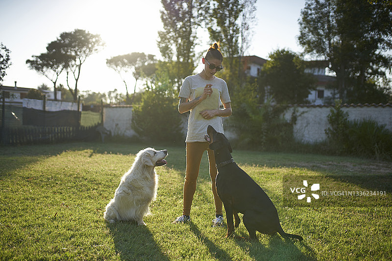 训练犬只的女人图片素材