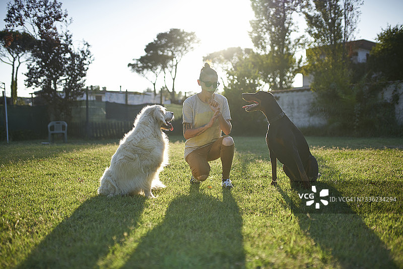 训练犬只的女人图片素材