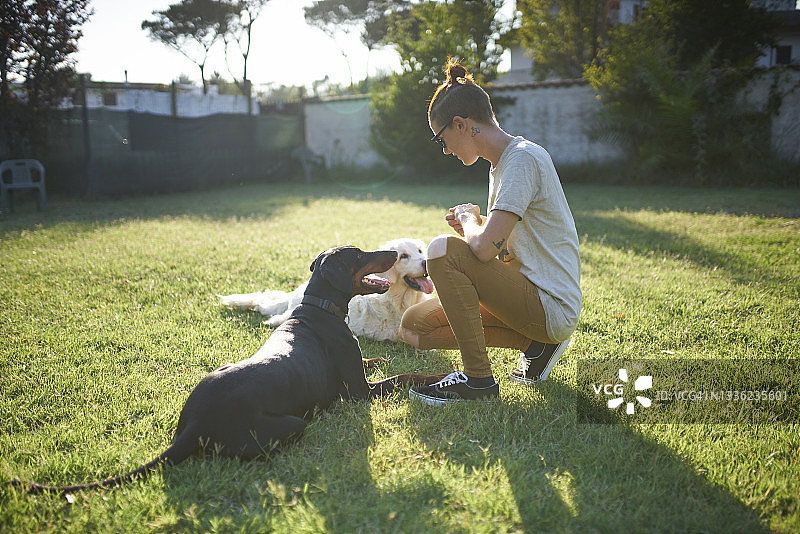 训练犬只的女人图片素材