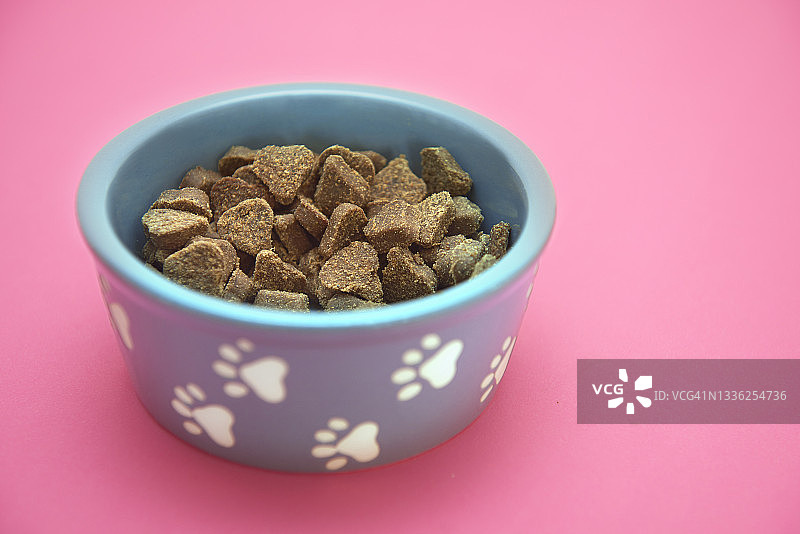 宠物碗里的宠物食品图片素材