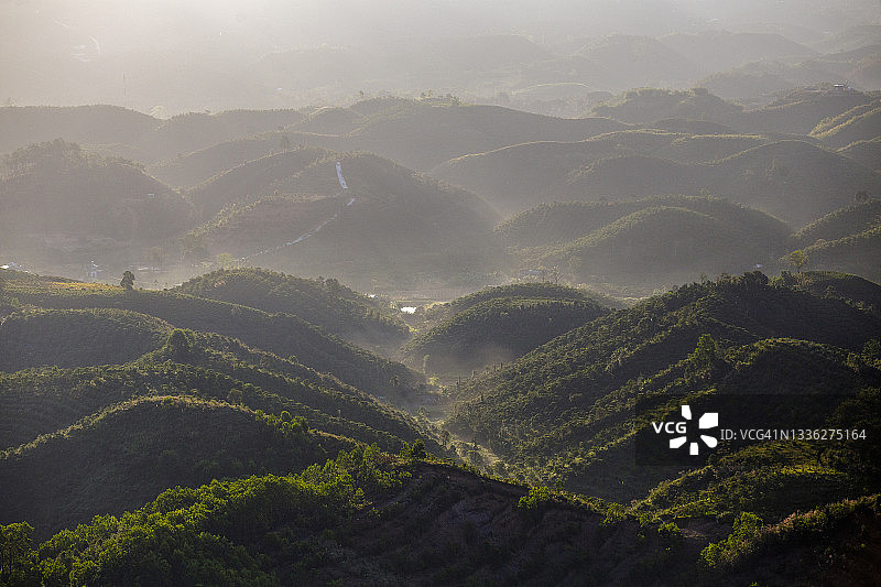 咖啡种植园山丘图片素材