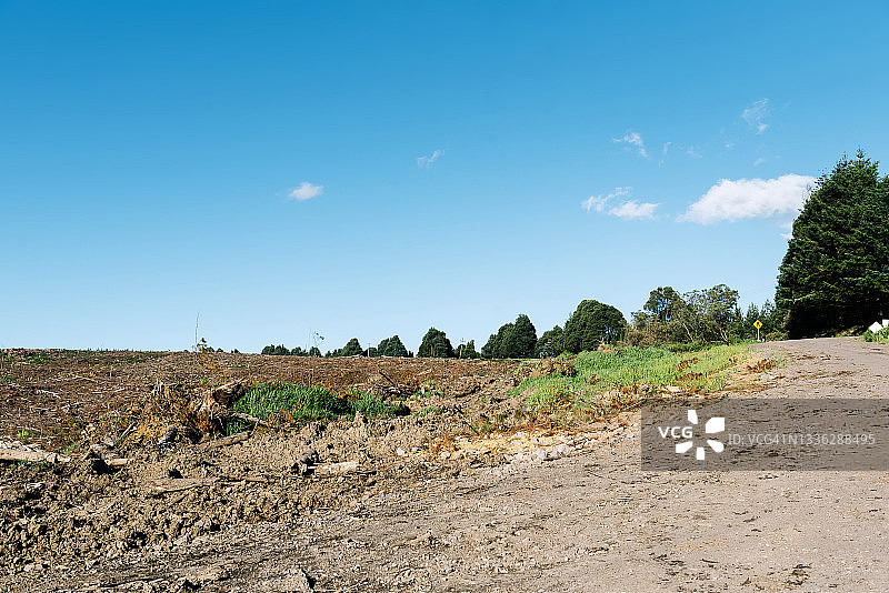 乡村景观之上的蓝天与伐木场图片素材