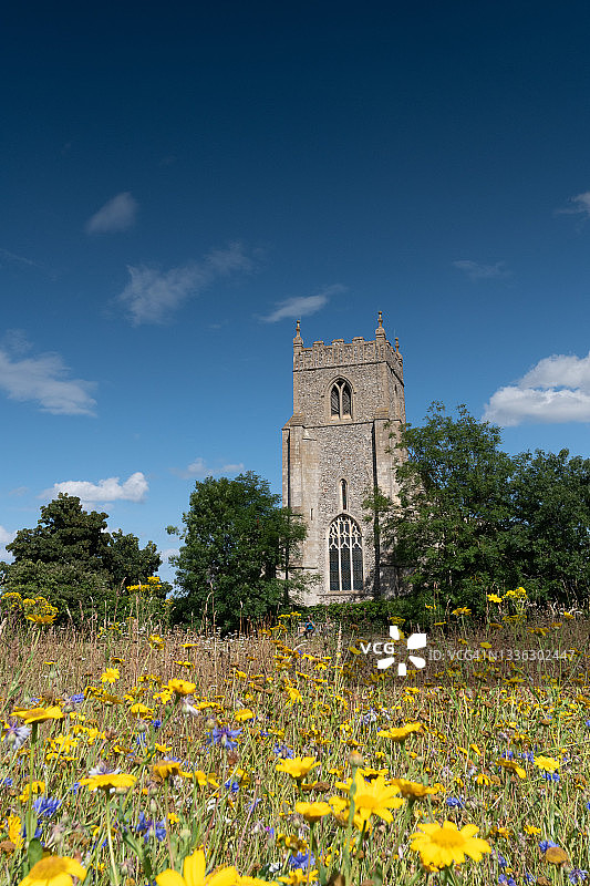 英国诺福克郡威韦顿野花丛中的圣玛丽教堂图片素材