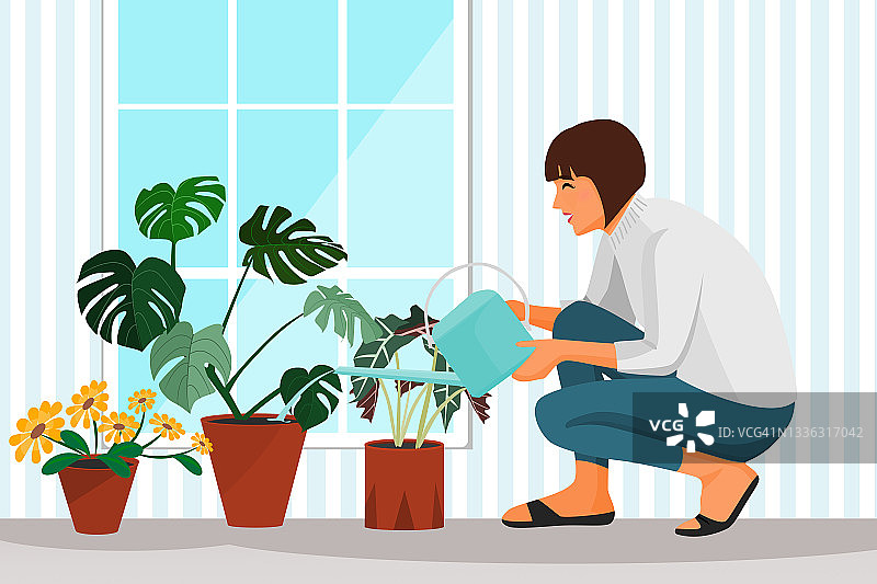 疫情期间居家隔离，女性在室内花园照料植物，缓解压力图片素材