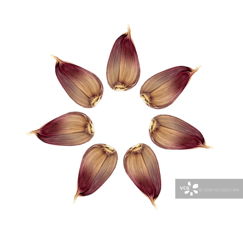 白色背景下大蒜构成圆圈的特写图片素材