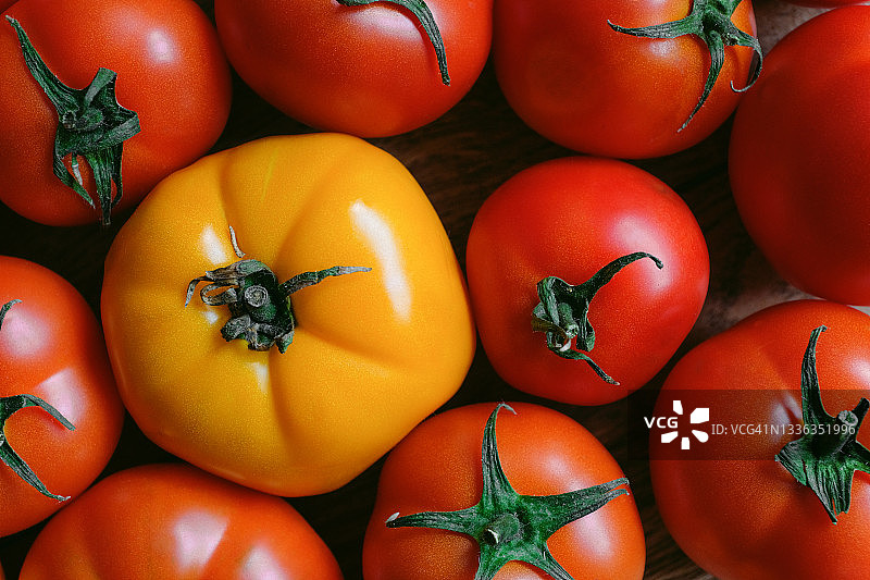 木桌上的成熟红黄番茄，素食主义者、纯素食主义者和生食食品，有机自制农产品，花园采摘图片素材