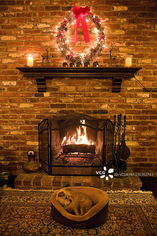 睡着的圣诞梗犬图片素材