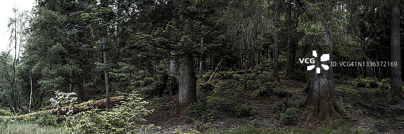 苏格兰高地阿凯格湖风光图片素材