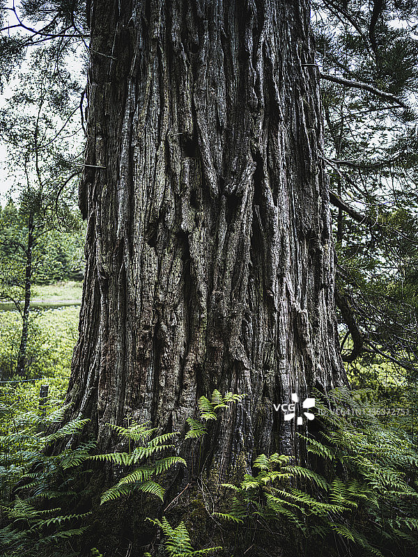 苏格兰高地阿凯格湖风光图片素材