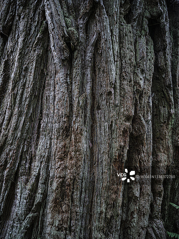 苏格兰高地阿凯格湖风光图片素材