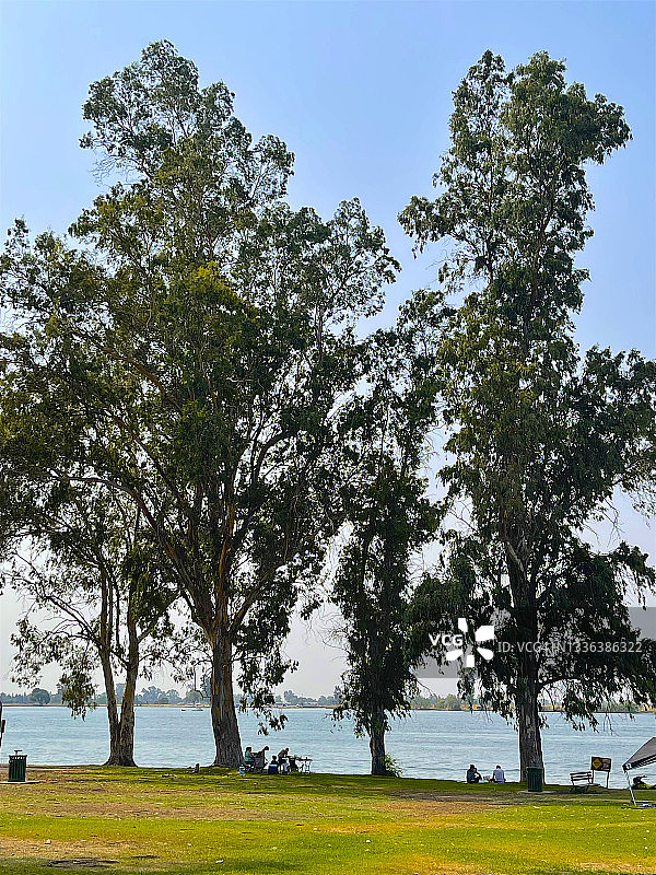 默塞德优胜美地湖的树木剪影图片素材