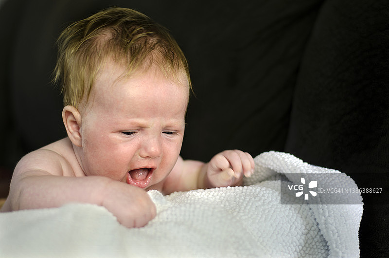 毯子上的新生儿图片素材