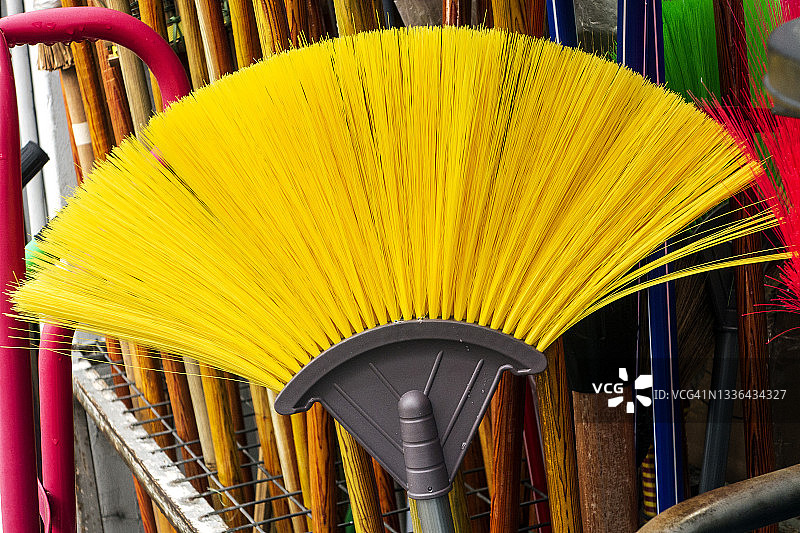 新加坡黄花 broom图片素材