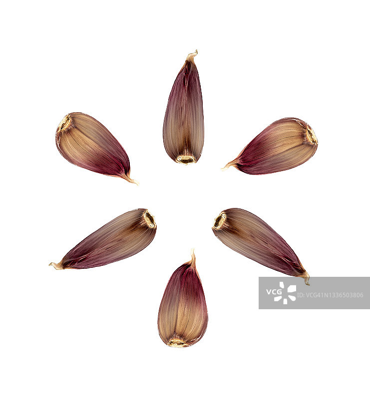 白色背景下大蒜构成圆圈的特写图片素材