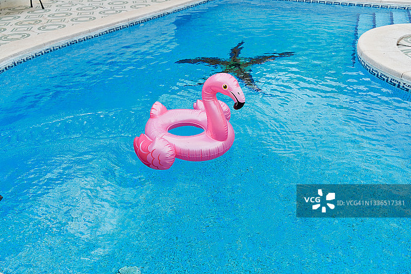 蓝色户外泳池中的粉色苍鹭造型漂浮物图片素材