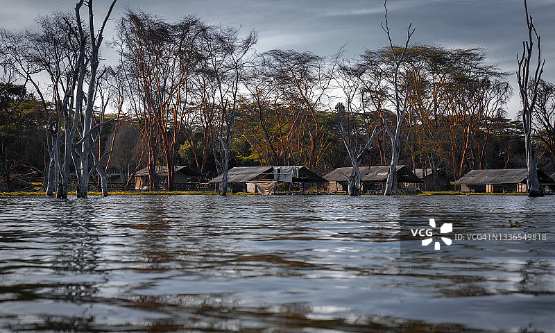 纳库鲁湖的荒野寂静与水中倒影的树木图片素材