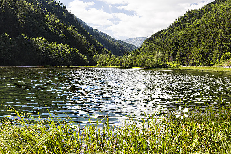 夏季格鲁纳湖畔图片素材