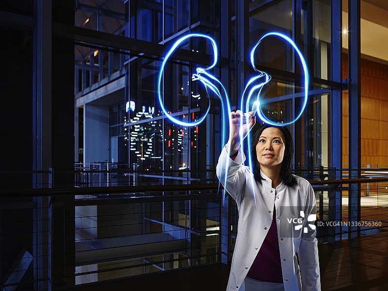 中年女肾脏科医生在医院实验室分析肾脏图片素材