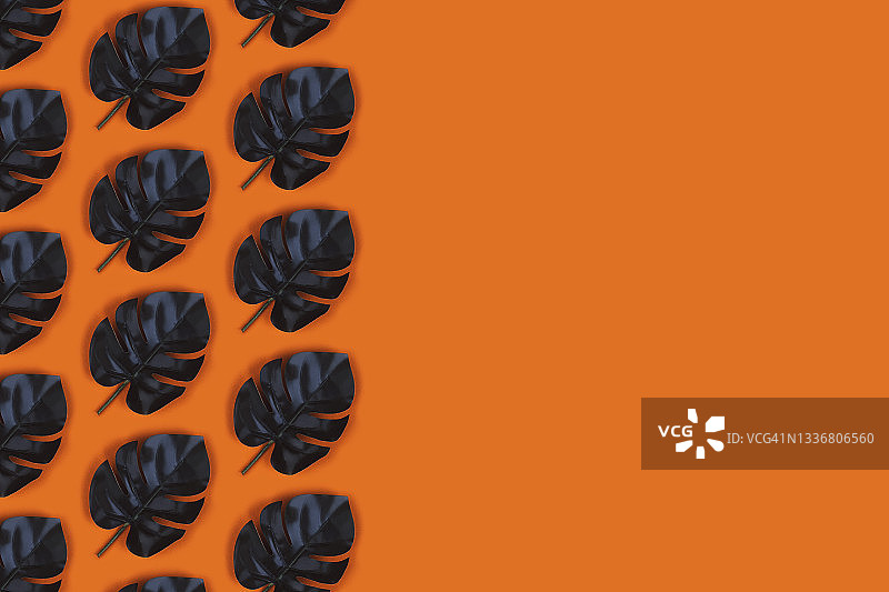 浅色背景上的龟背竹绿叶图案图片素材