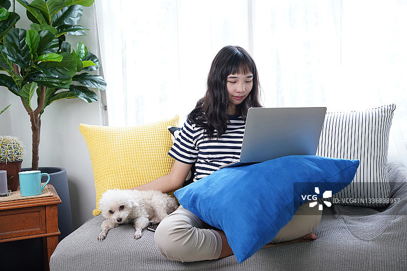 年轻女人在客厅沙发上使用笔记本电脑图片素材