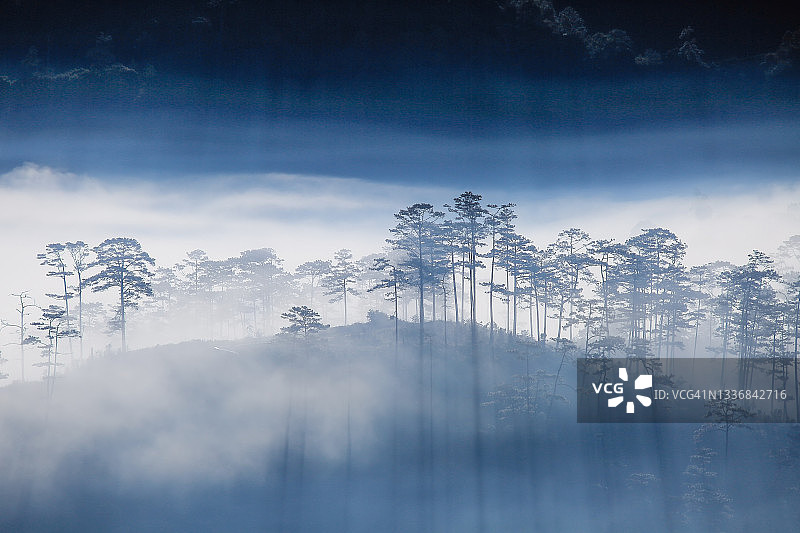 清晨美丽的阳光图片素材