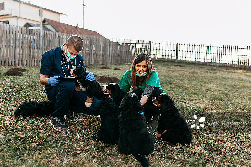 流浪狗收容所图片素材