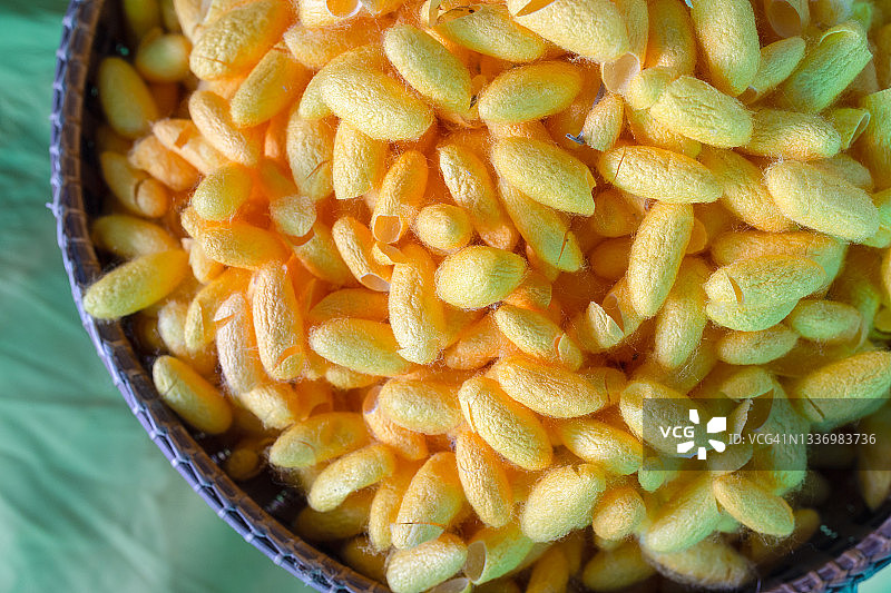 丝绸、蚕茧和绿色丝绸背景特写图片素材