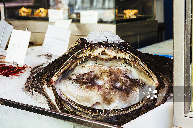 海鲜市场橱窗中冰上展示的张大嘴的安康鱼图片素材