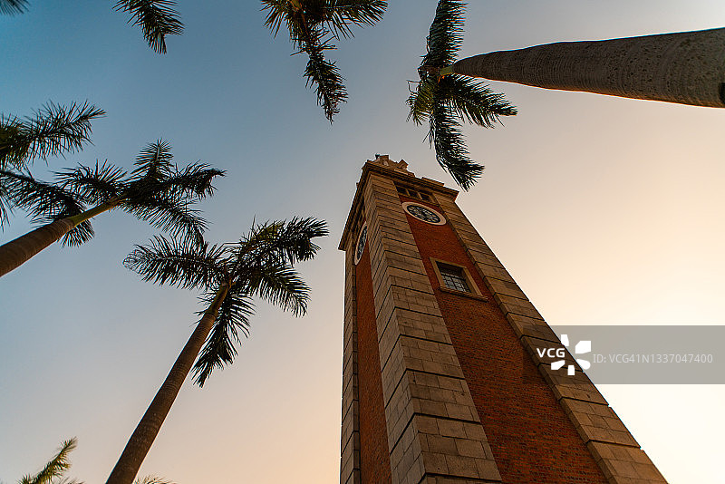 天空背景下的钟楼和棕榈树的低角度视图图片素材