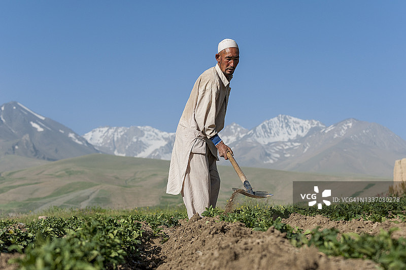 富拉迪山谷的马铃薯种植户图片素材