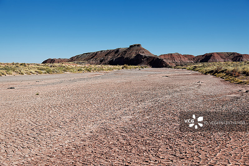 在石化林国家公园中独自漫步图片素材